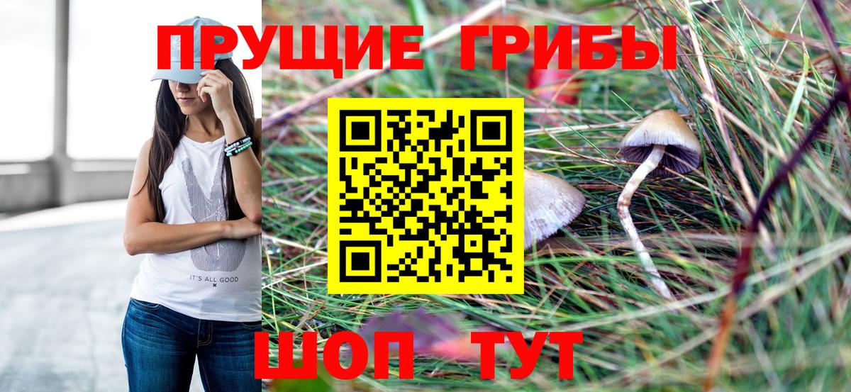 Псилоцибиновые грибы мухоморы  Вход с VPN  Пенза 