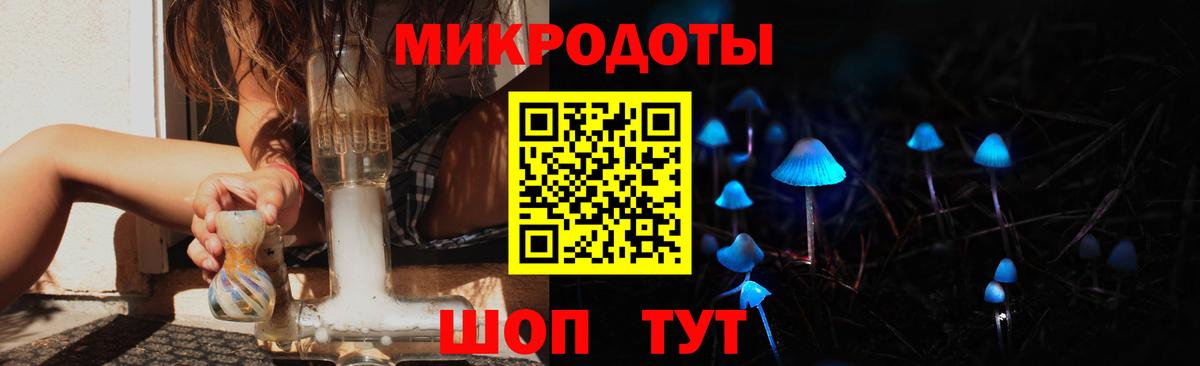 Псилоцибиновые грибы Cubensis Пенза